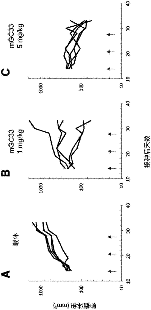 使用PD-1轴结合拮抗剂和抗GPC3抗体治疗癌症的方法与流程