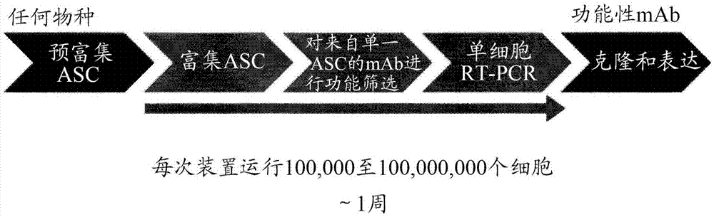 细胞分泌分析的装置和方法与流程