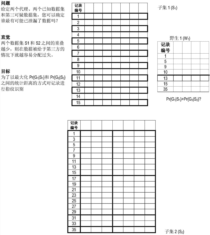 数据加水印和加指纹系统和方法与流程