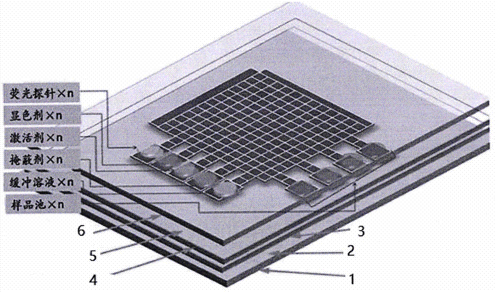 用于水体重金属离子测定的数字微流控芯片系统及方法与流程