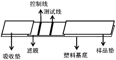 一种乙酰胆碱检测试纸条及其应用的制作方法