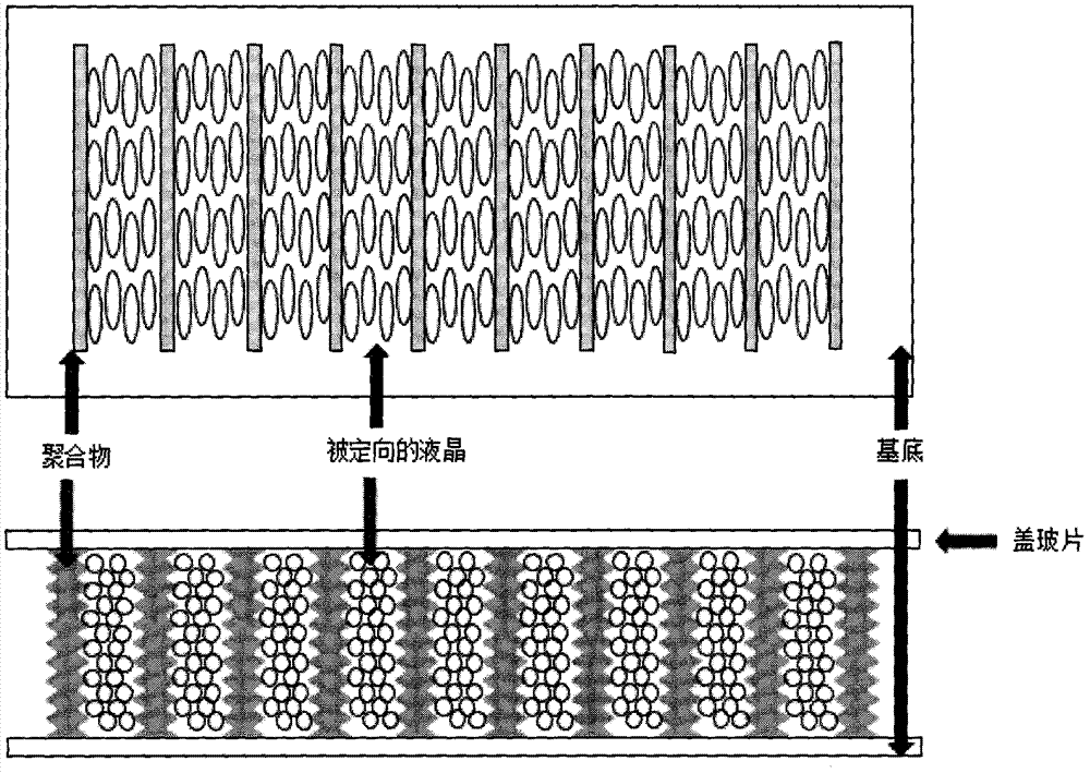 一种基于掩模曝光法的大面积液晶区域定向方法及其系统与流程