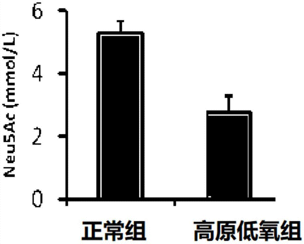 一种用于检测高原缺氧的生物标志物及其应用的制作方法