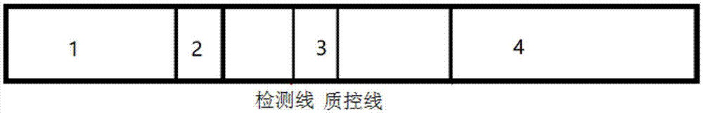 一种检测喹诺酮类药物的试纸条、制备方法及其应用与流程