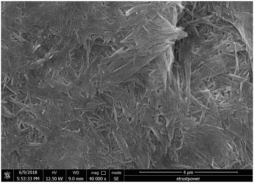 一种隔膜用油性陶瓷浆料及其制备方法、隔膜与流程