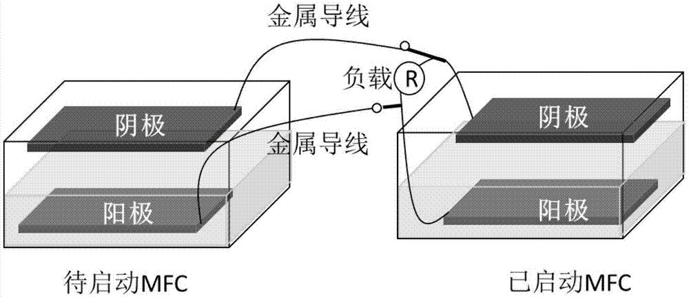 一种加速微生物燃料电池产电启动的方法与流程