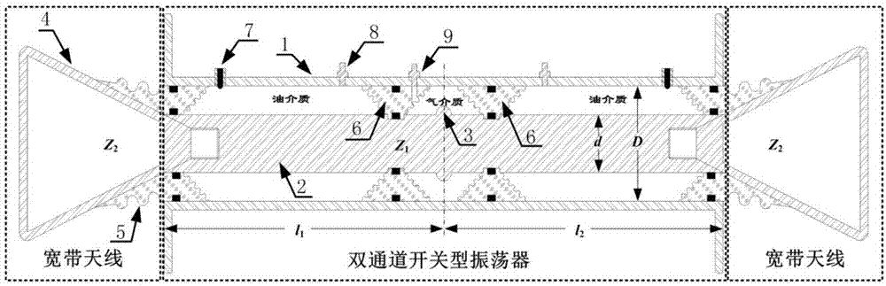 双通道开关型高功率微波辐射器的制作方法