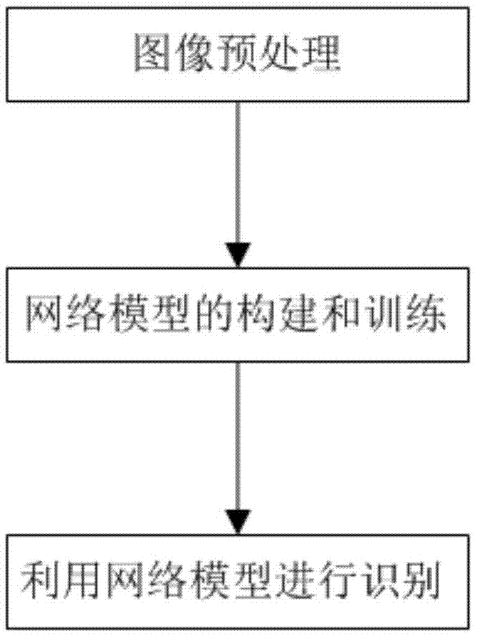 基于随机高斯场神经网络辅助的肾透明细胞癌诊断方法与流程