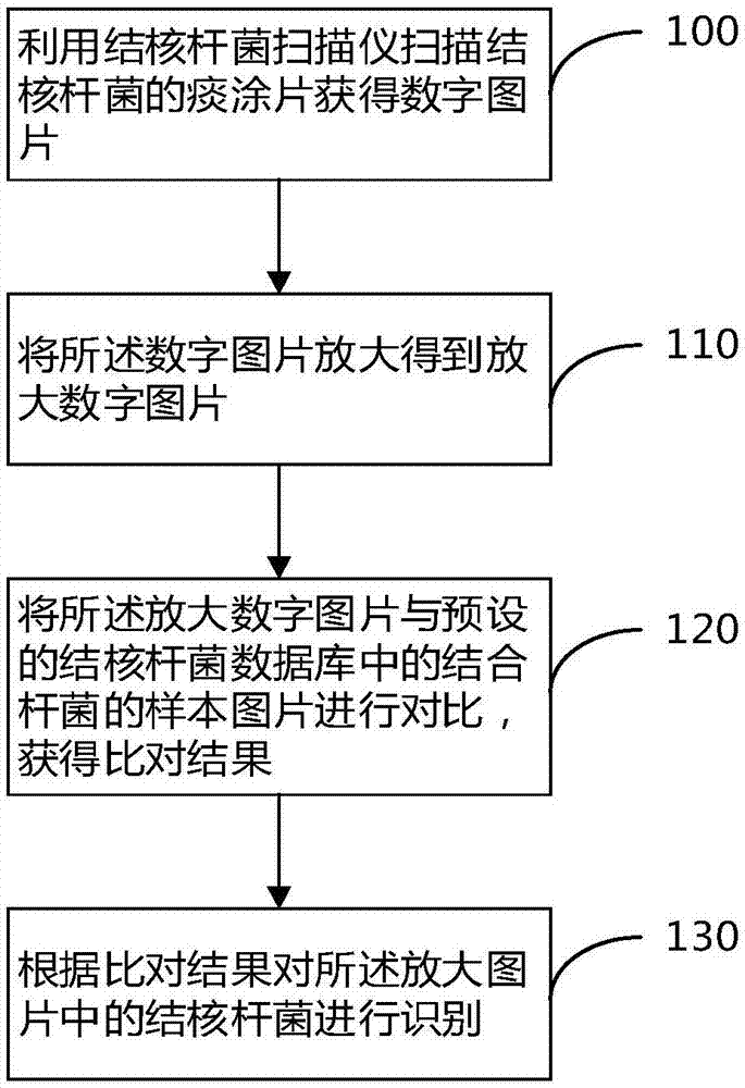 结核杆菌的识别方法及装置与流程