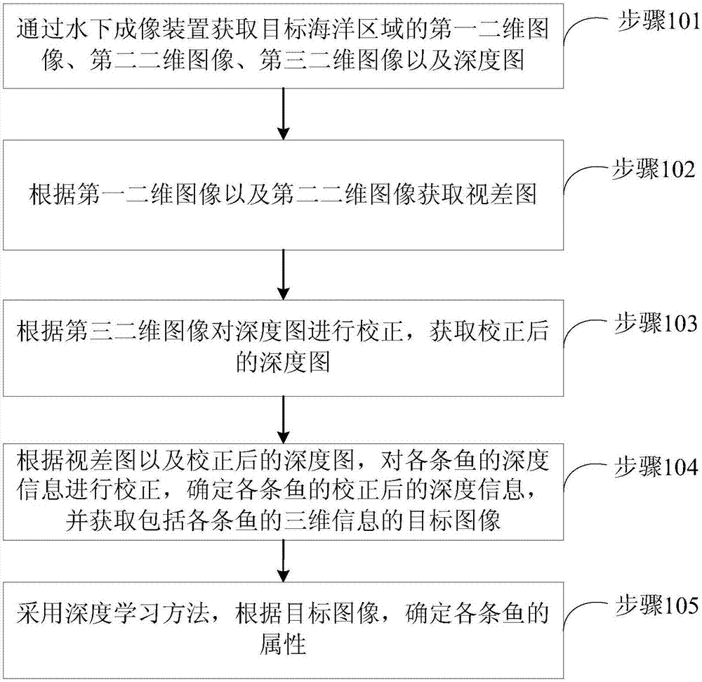 海洋鱼类三维图像获取及处理方法、装置、设备及介质与流程