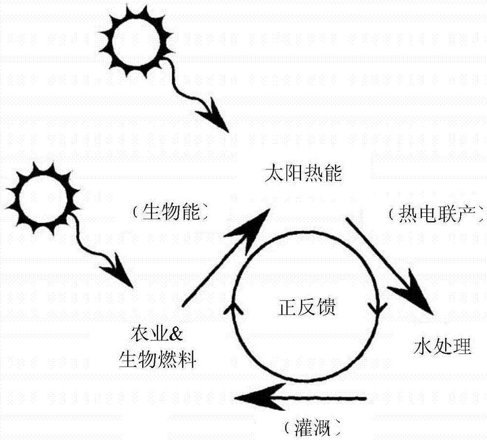 用于发电与处理水的设备和方法与流程