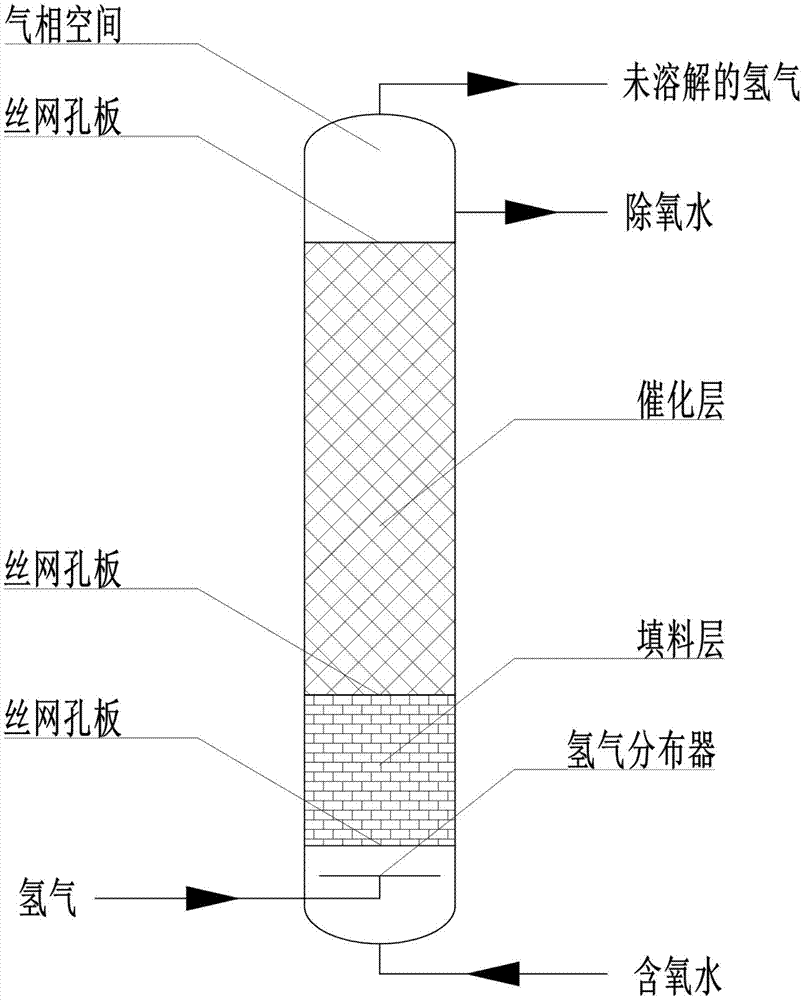 一种消除水中溶解氧的装置及其使用方法与流程