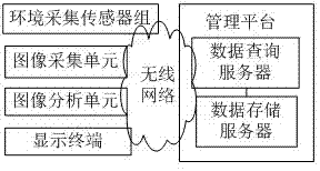 一种针对韭菜的田间管理系统的制作方法