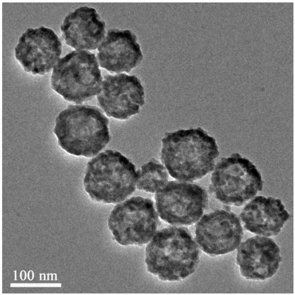 一种多孔铋纳米微球及其制备方法和应用与流程