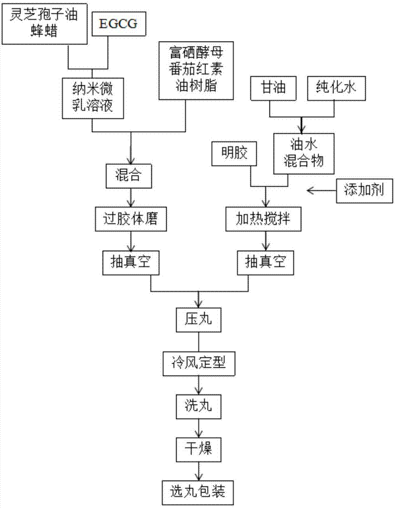 EGCG灵芝孢子油软胶囊及其制备方法与流程