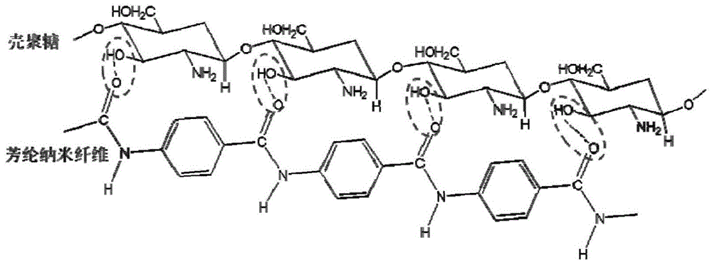 一种壳聚糖/芳纶纳米纤维复合薄膜的制备方法与流程