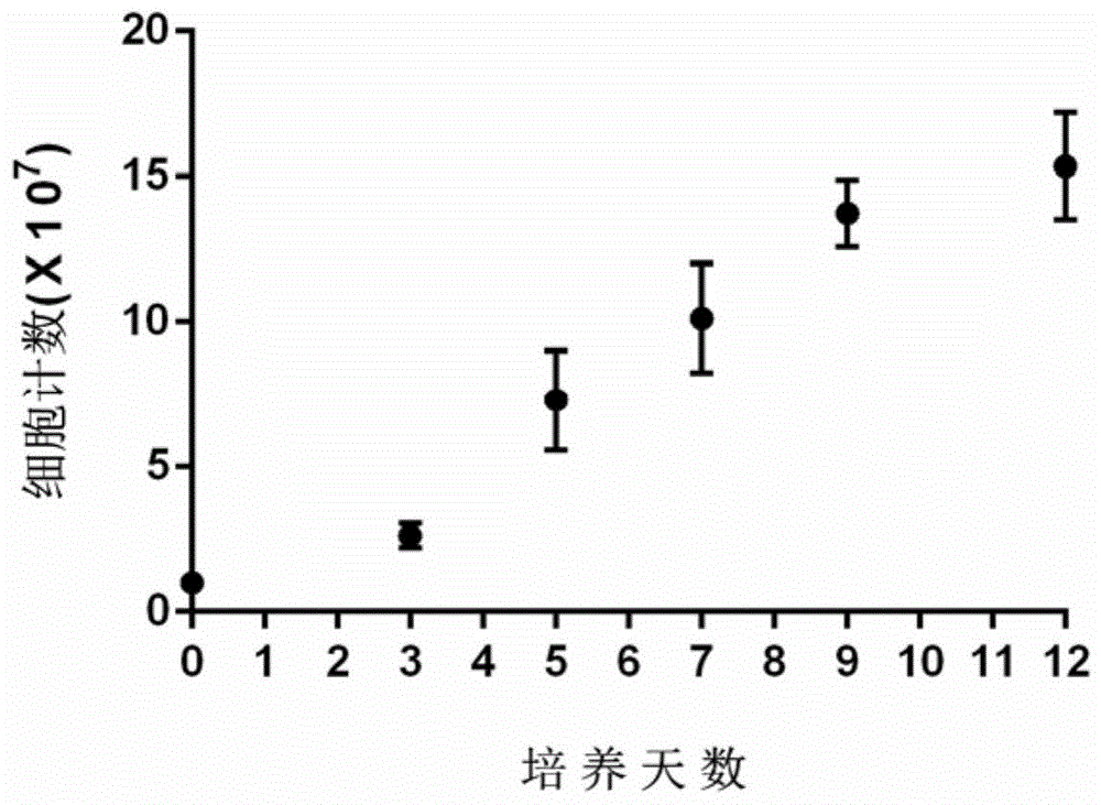 一种可以预防肿瘤发生的免疫细胞及其制备方法与应用与流程