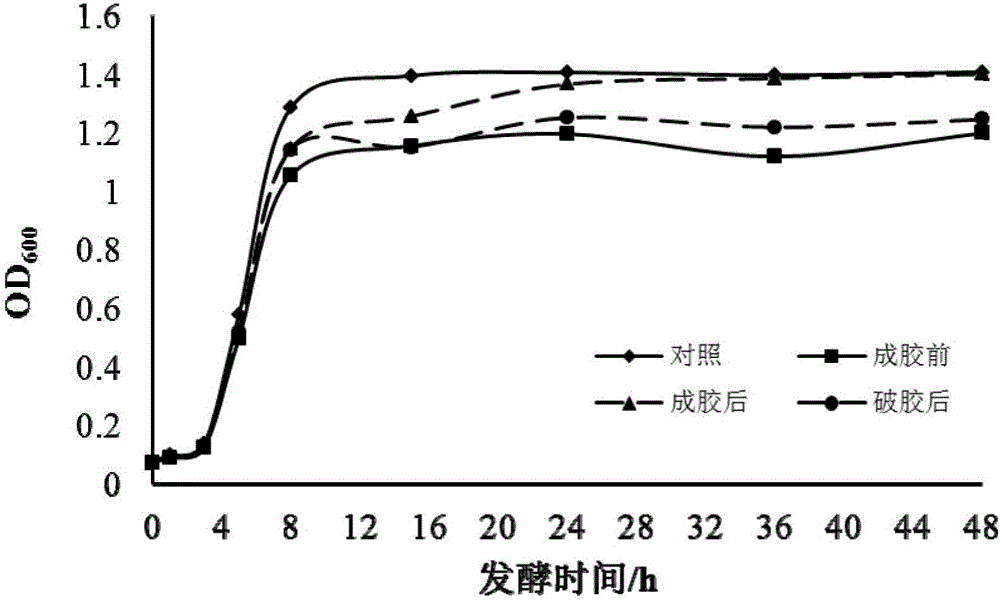 一种辅助微生物驱的调剖聚合物的筛选方法与流程