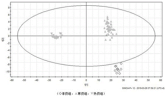 一种基于代谢组学的中药四气判别方法与流程