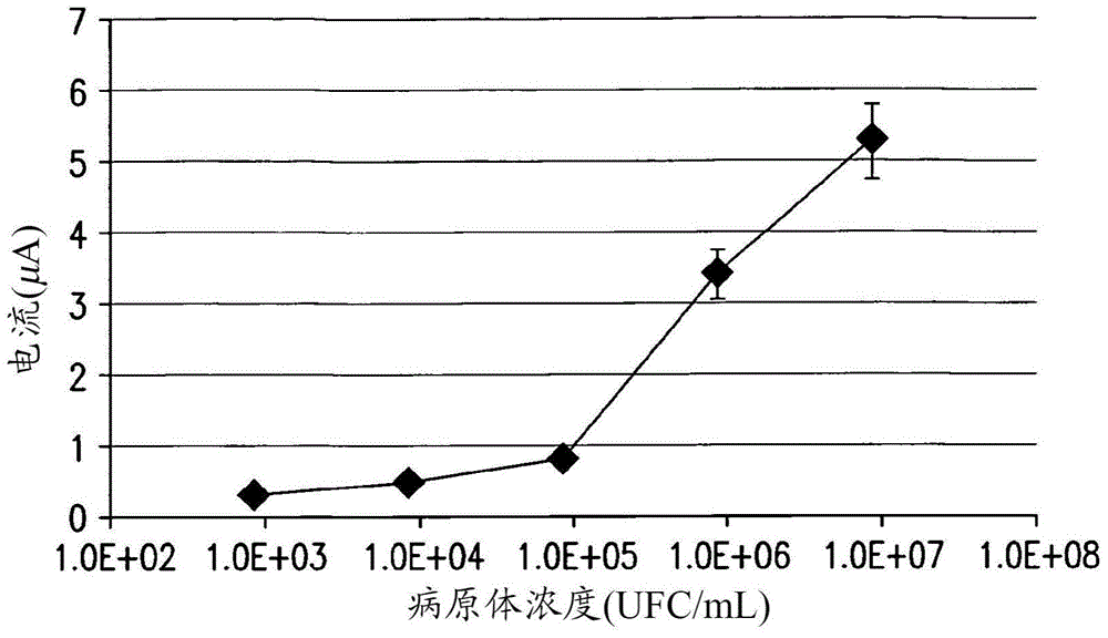 用于检测病原体的快速方法与流程