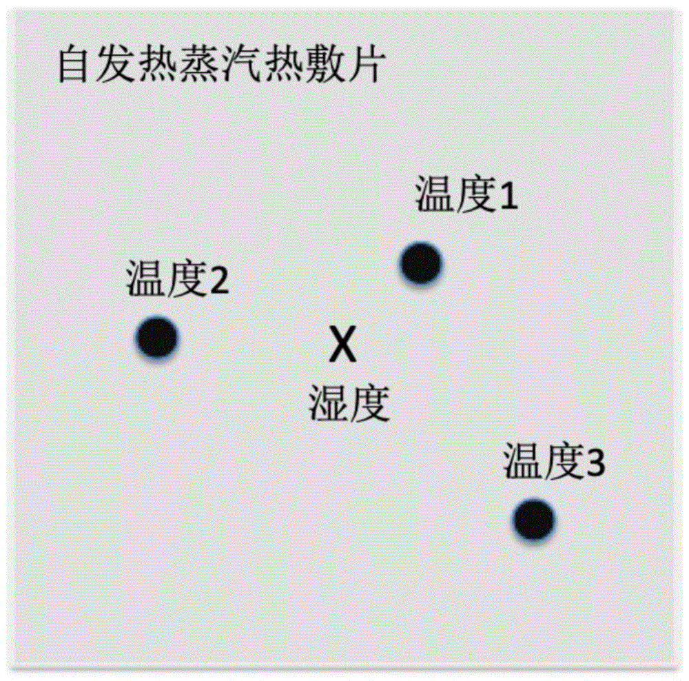 一种蒸汽热敷自发热片及其制备方法和应用与流程