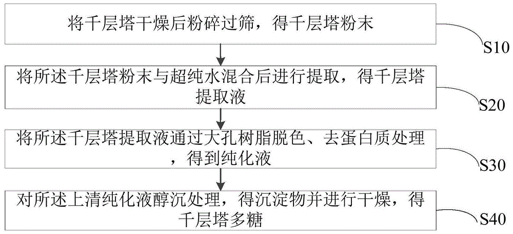 千层塔多糖的提取方法与流程