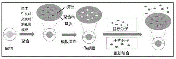 一种基于两次或多次聚合形成的分子印迹高分子聚合物材料的制备方法与流程