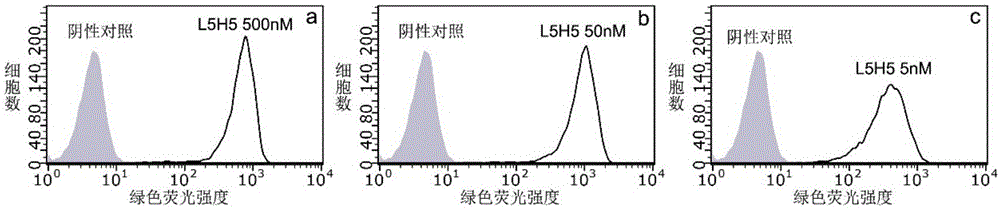 GCGR抗体及其与GLP-1的融合蛋白质，以及其药物组合物和应用的制作方法