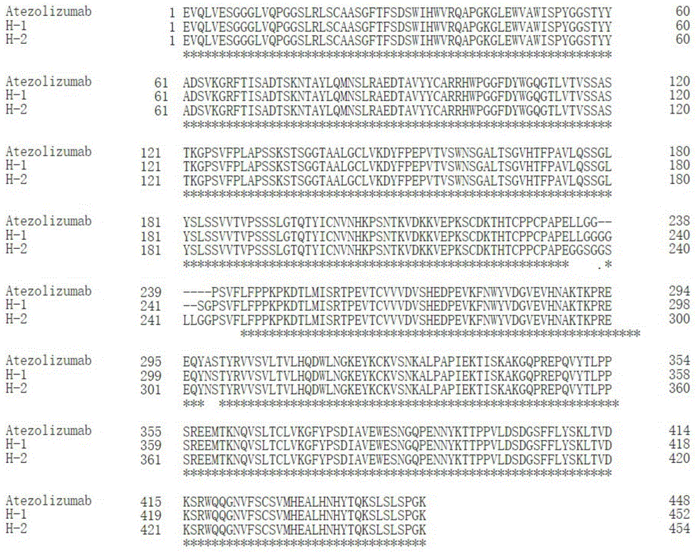 低ADCC/CDC功能性单抗及其制备方法与应用与流程