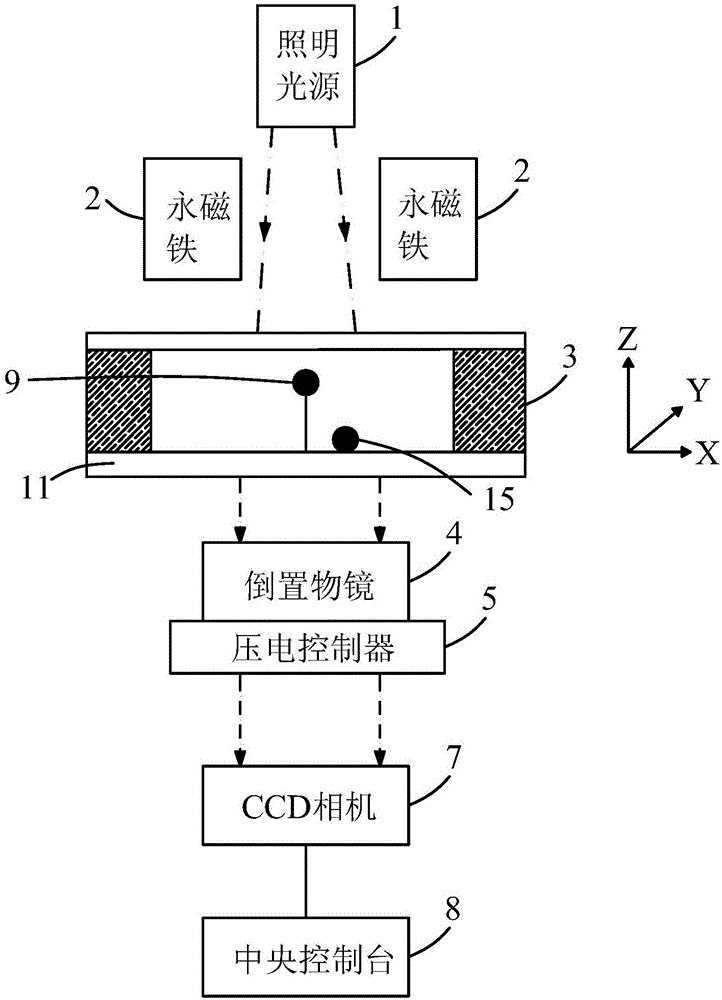 用于磁镊装置的磁球坐标的校准方法和校准装置与流程