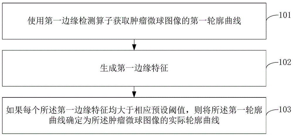 肿瘤微球的轮廓检测方法及装置与流程