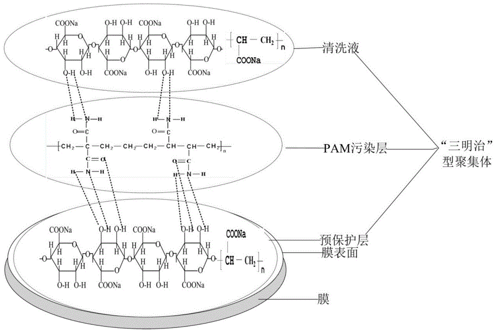 一种用于聚丙烯酰胺污染膜的清洗剂及其清洗方法与流程