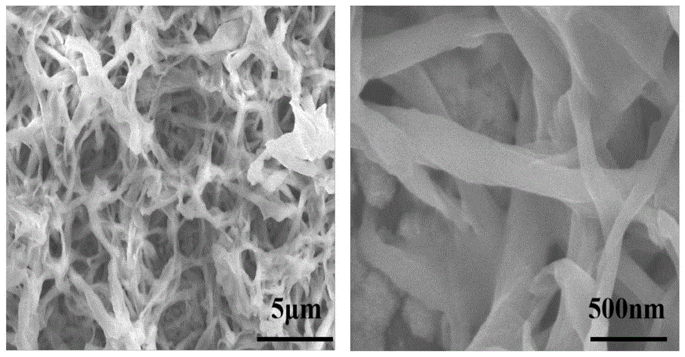 一种网络状非晶氧化钼纳米材料及其制备方法和应用与流程