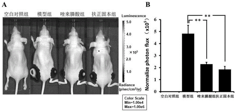 一种中药组合物及其在乳腺癌治疗中的用途的制作方法