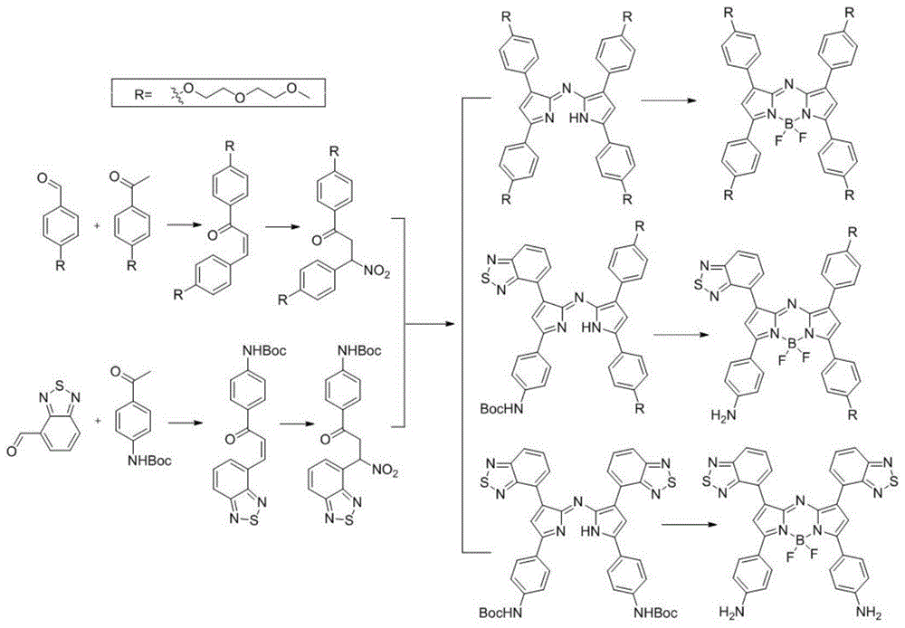 具有光热效应的aza-BODIPY类衍生物和其合成及应用的制作方法