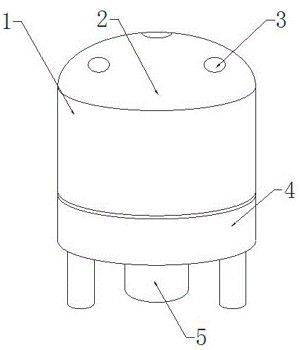 一种捕蝇笼的制作方法