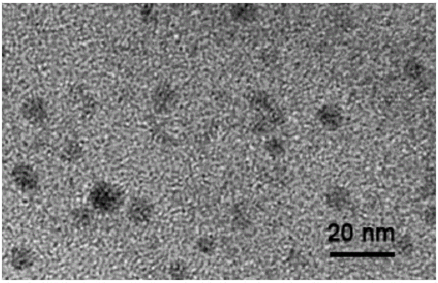 一种以氮掺杂石墨烯量子点为基质的激光解吸离子化质谱分析方法与流程