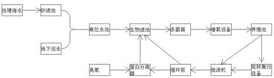 一种具有高产量低碳环保性的海水养殖系统的制作方法