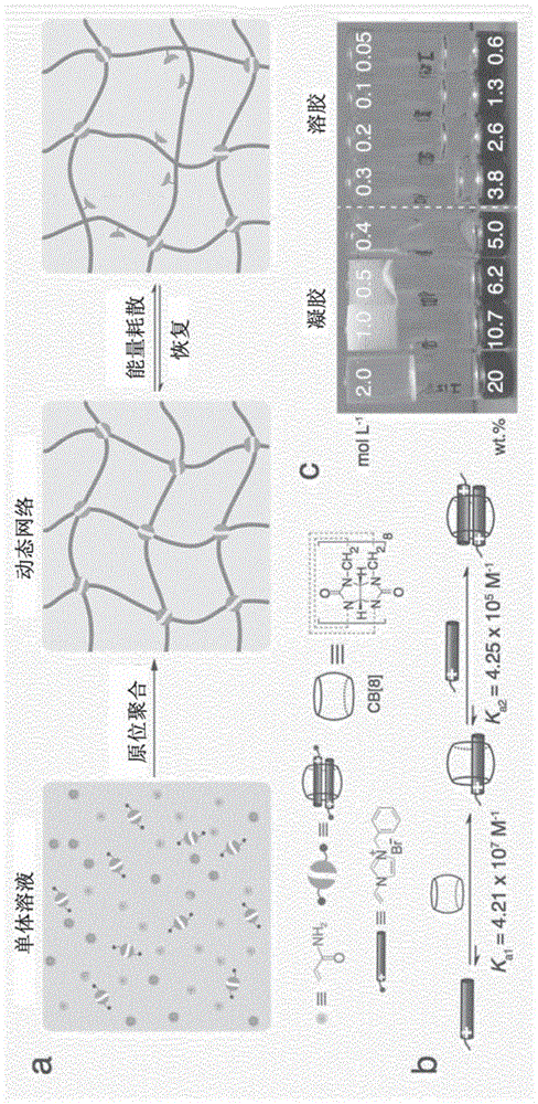 基于葫芦脲的水凝胶的制作方法