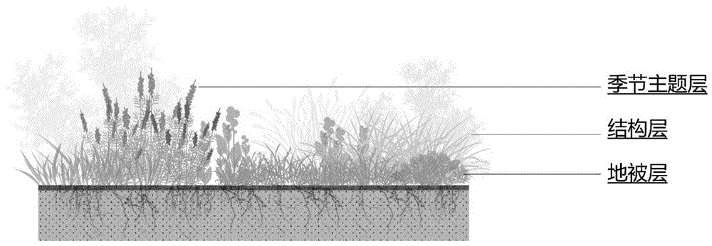 一种植物群落构建方法与流程