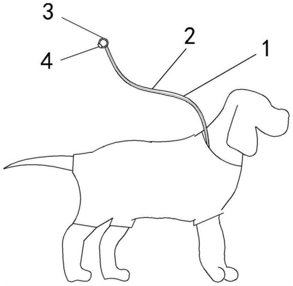 可发光的狗绳的制作方法