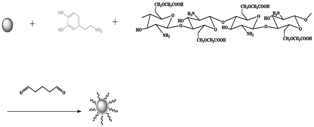 一种磁性聚多巴胺/羧甲基壳聚糖吸附剂及其制备方法与应用与流程