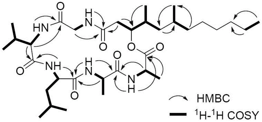环肽emericellamide G及其制备方法和在制备酶抑制剂中的应用与流程