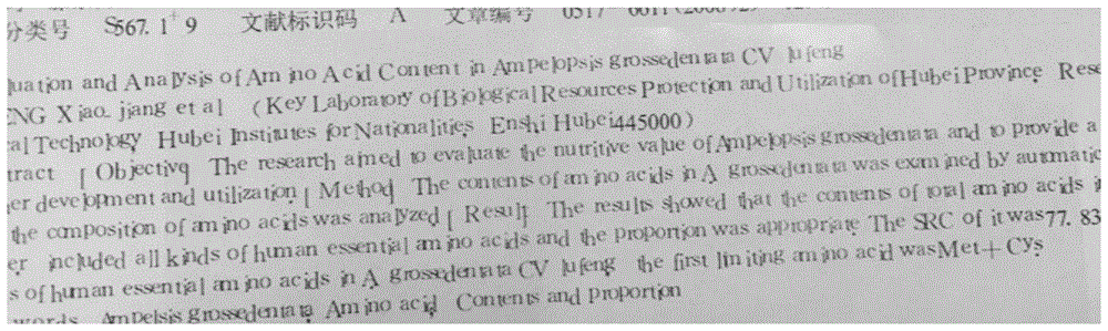 一种透明荧光喷墨及其制备工艺的制作方法