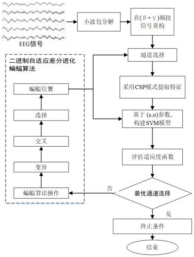 一种基于改进蝙蝠算法的EEG通道选择系统的制作方法