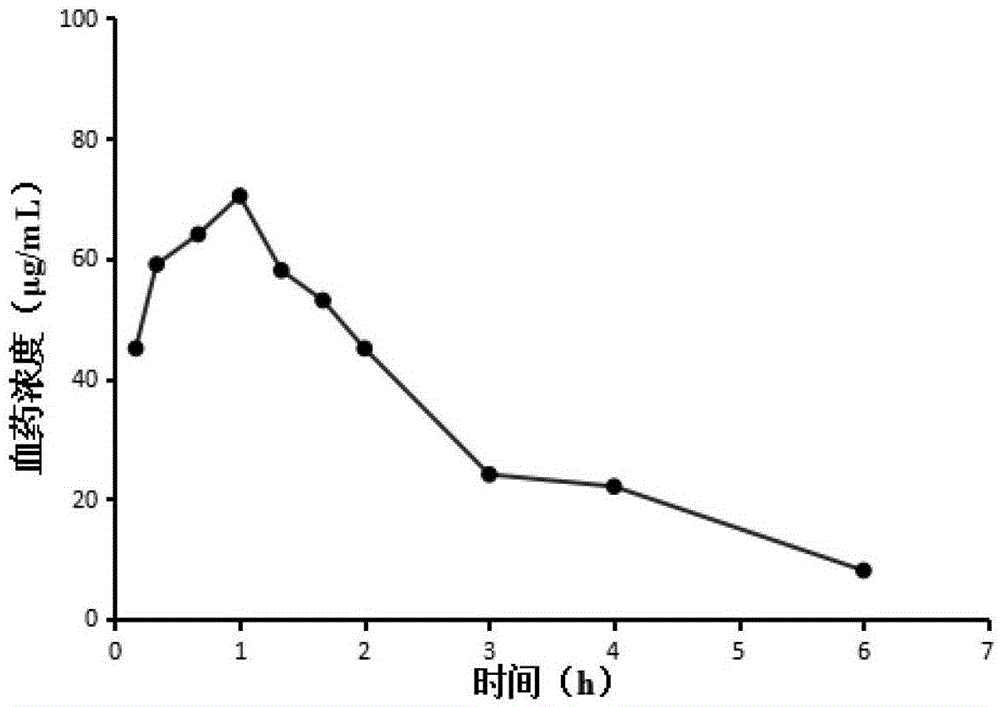 泰司汀头孢他啶药物制剂治疗妇科感染的新适应症的制作方法