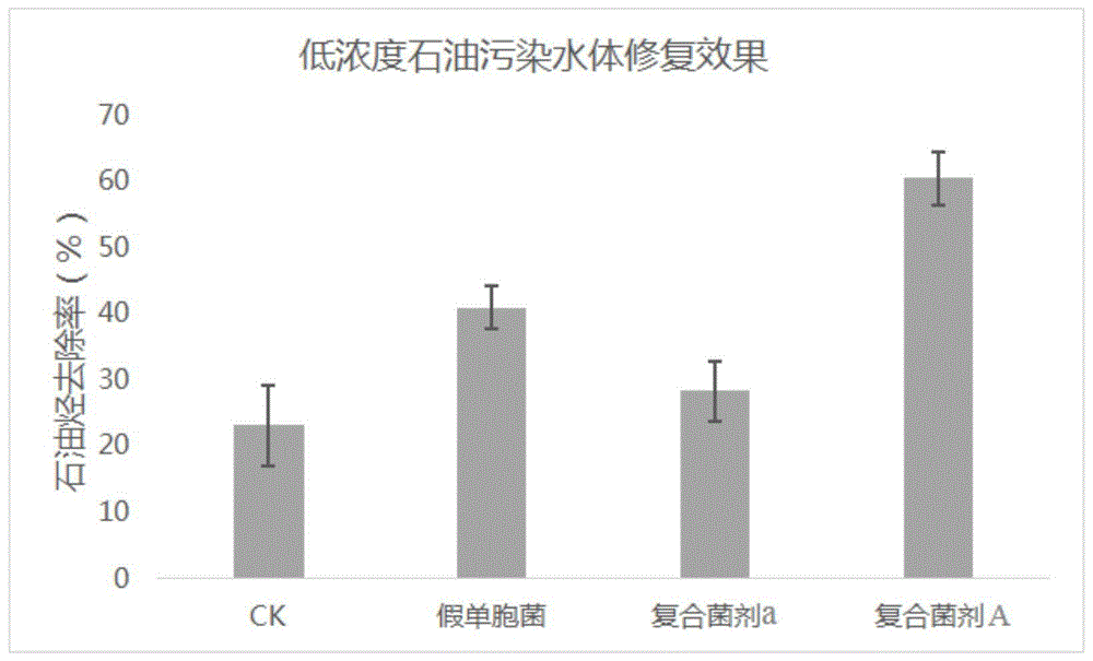 一种用于生物修复石油类污染水体的菌株、复合菌剂及其制备方法与应用与流程