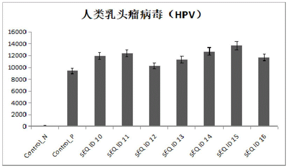 一种基于CRISPR/Cas12a的特异性HPV核酸检测方法与流程