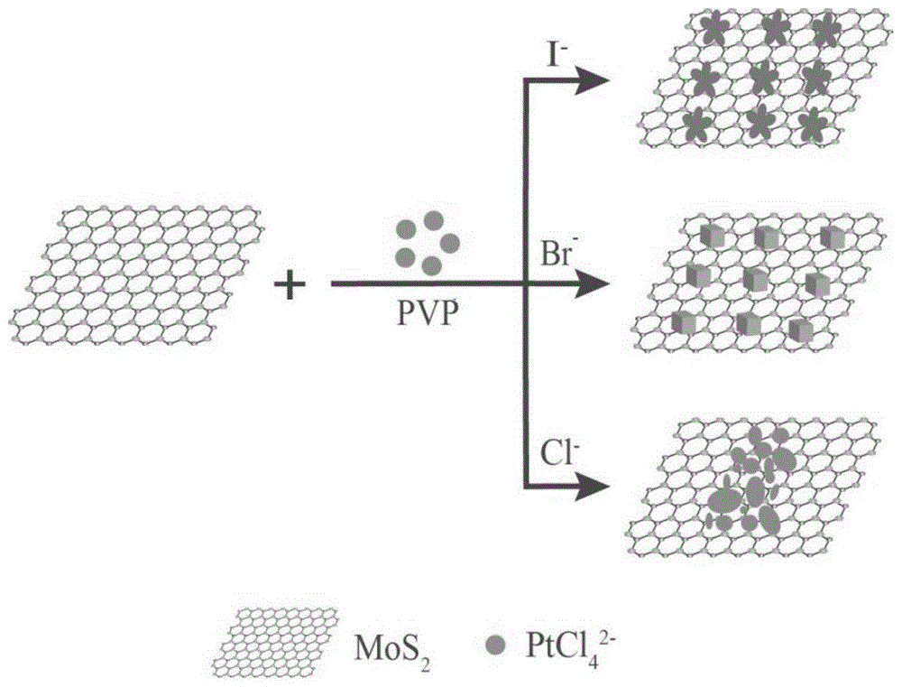 卤素调控三种不同形貌铂-二硫化钼纳米复合材料的制备方法与流程