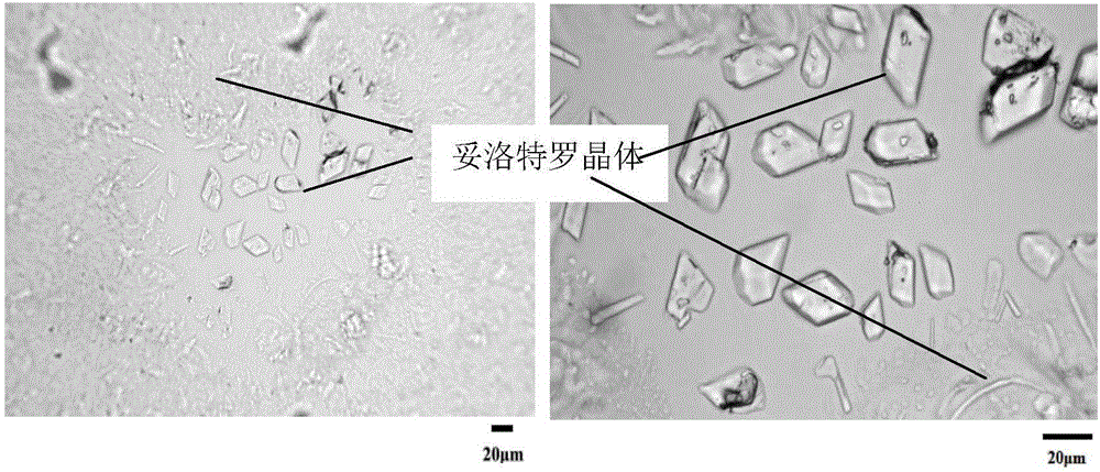 一种妥洛特罗透皮贴剂无损质量控制方法与流程